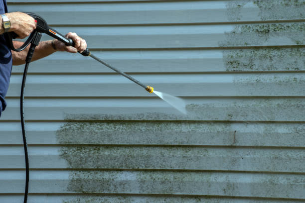 Best Building Exterior Washing  in West Sayville, NY